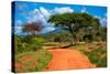 Red Ground Road and Bush with Savanna Landscape in Africa. Tsavo West, Kenya.-Michal Bednarek-Stretched Canvas