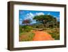 Red Ground Road and Bush with Savanna Landscape in Africa. Tsavo West, Kenya.-Michal Bednarek-Framed Photographic Print