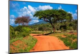 Red Ground Road and Bush with Savanna Landscape in Africa. Tsavo West, Kenya.-Michal Bednarek-Mounted Photographic Print