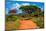 Red Ground Road and Bush with Savanna Landscape in Africa. Tsavo West, Kenya.-Michal Bednarek-Mounted Photographic Print