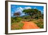 Red Ground Road and Bush with Savanna Landscape in Africa. Tsavo West, Kenya.-Michal Bednarek-Framed Photographic Print