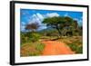 Red Ground Road and Bush with Savanna Landscape in Africa. Tsavo West, Kenya.-Michal Bednarek-Framed Photographic Print