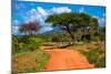 Red Ground Road and Bush with Savanna Landscape in Africa. Tsavo West, Kenya.-Michal Bednarek-Mounted Photographic Print