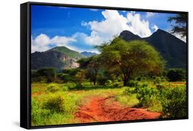 Red Ground Road and Bush with Savanna Panorama Landscape in Africa. Tsavo West, Kenya.-Michal Bednarek-Framed Stretched Canvas