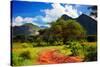 Red Ground Road and Bush with Savanna Panorama Landscape in Africa. Tsavo West, Kenya.-Michal Bednarek-Stretched Canvas