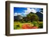 Red Ground Road and Bush with Savanna Panorama Landscape in Africa. Tsavo West, Kenya.-Michal Bednarek-Framed Photographic Print