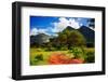 Red Ground Road and Bush with Savanna Panorama Landscape in Africa. Tsavo West, Kenya.-Michal Bednarek-Framed Photographic Print