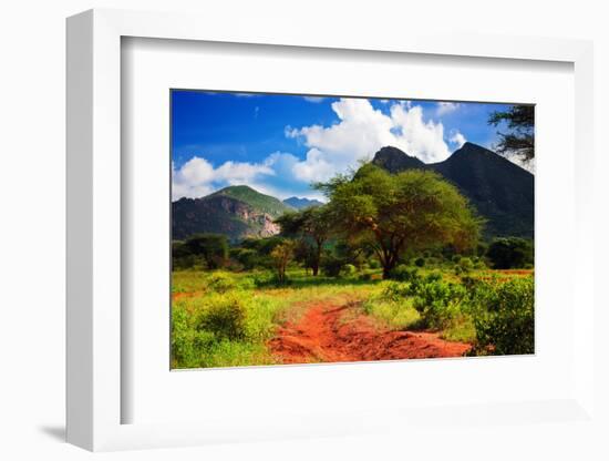 Red Ground Road and Bush with Savanna Panorama Landscape in Africa. Tsavo West, Kenya.-Michal Bednarek-Framed Photographic Print