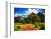 Red Ground Road and Bush with Savanna Panorama Landscape in Africa. Tsavo West, Kenya.-Michal Bednarek-Framed Photographic Print