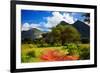 Red Ground Road and Bush with Savanna Panorama Landscape in Africa. Tsavo West, Kenya.-Michal Bednarek-Framed Photographic Print