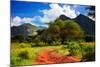 Red Ground Road and Bush with Savanna Panorama Landscape in Africa. Tsavo West, Kenya.-Michal Bednarek-Mounted Photographic Print