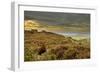 Red Grouse (Lagopus Lagopus Scoticus) on Heather Moorland, Peak District Np, UK, September 2011-Ben Hall-Framed Photographic Print