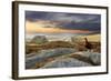 Red Grouse (Lagopus Lagopus Scoticus) on Heather Moorland, Peak District Np, UK, September-Ben Hall-Framed Photographic Print