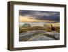 Red Grouse (Lagopus Lagopus Scoticus) on Heather Moorland, Peak District Np, UK, September-Ben Hall-Framed Photographic Print