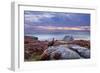 Red Grouse (Lagopus Lagopus Scoticus) on Heather Moorland, Peak District Np, UK-Ben Hall-Framed Photographic Print