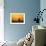 Red Grouse on Heather Moor, Overlooking its Domain-null-Framed Photographic Print displayed on a wall