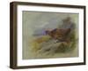 Red Grouse-Archibald Thorburn-Framed Giclee Print