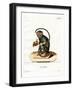 Red-Handed Tamarin-null-Framed Giclee Print