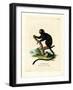 Red-Handed Tamarin-null-Framed Giclee Print