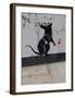 Red handed-Banksy-Framed Giclee Print