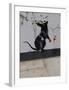 Red handed-Banksy-Framed Giclee Print