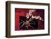 Red Harmony-Karsten Kirchner-Framed Art Print