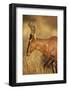 Red Hartebeest (Alcelaphus Buselaphus)-James Hager-Framed Photographic Print