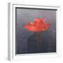 Red Hat, 2004-Lincoln Seligman-Framed Giclee Print