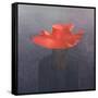 Red Hat, 2004-Lincoln Seligman-Framed Stretched Canvas