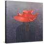 Red Hat, 2004-Lincoln Seligman-Stretched Canvas