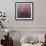 Red Hat, 2004-Lincoln Seligman-Framed Giclee Print displayed on a wall