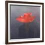 Red Hat, 2004-Lincoln Seligman-Framed Giclee Print