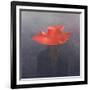 Red Hat, 2004-Lincoln Seligman-Framed Giclee Print