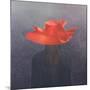 Red Hat, 2004-Lincoln Seligman-Mounted Giclee Print