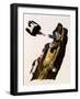 Red-Headed Woodpecker, Melanerpes Erythrocephalus-John James Audubon-Framed Giclee Print