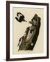 Red Headed Woodpecker-null-Framed Giclee Print