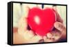 Red Heart Held by a Female Doctor. close Up.-B-D-S-Framed Stretched Canvas