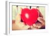 Red Heart Held by a Female Doctor. close Up.-B-D-S-Framed Photographic Print