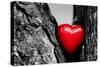 Red Heart in a Tree Trunk. Romantic Symbol of Love, Valentine's Day. Black and White with Red.-Michal Bednarek-Stretched Canvas