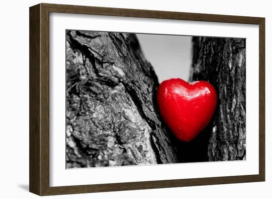 Red Heart in a Tree Trunk. Romantic Symbol of Love, Valentine's Day. Black and White with Red.-Michal Bednarek-Framed Photographic Print