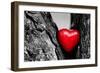 Red Heart in a Tree Trunk. Romantic Symbol of Love, Valentine's Day. Black and White with Red.-Michal Bednarek-Framed Photographic Print