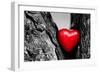 Red Heart in a Tree Trunk. Romantic Symbol of Love, Valentine's Day. Black and White with Red.-Michal Bednarek-Framed Photographic Print