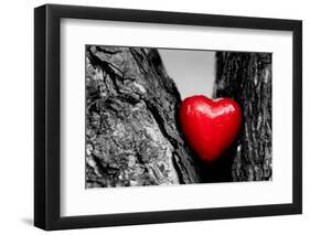 Red Heart in a Tree Trunk. Romantic Symbol of Love, Valentine's Day. Black and White with Red.-Michal Bednarek-Framed Photographic Print