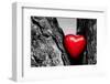 Red Heart in a Tree Trunk. Romantic Symbol of Love, Valentine's Day. Black and White with Red.-Michal Bednarek-Framed Photographic Print