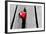 Red Heart in Crack of Wooden Plank, Symbol of Love, Valentine's Day-Michal Bednarek-Framed Photographic Print