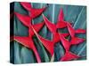 Red Heliconia Flowers-Darrell Gulin-Stretched Canvas