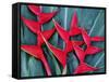 Red Heliconia Flowers-Darrell Gulin-Framed Stretched Canvas