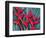 Red Heliconia Flowers-Darrell Gulin-Framed Photographic Print