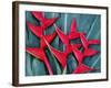 Red Heliconia Flowers-Darrell Gulin-Framed Photographic Print