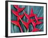 Red Heliconia Flowers-Darrell Gulin-Framed Photographic Print